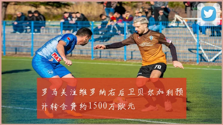 罗马关注维罗纳右后卫贝尔加利预计转会费约1500万欧元