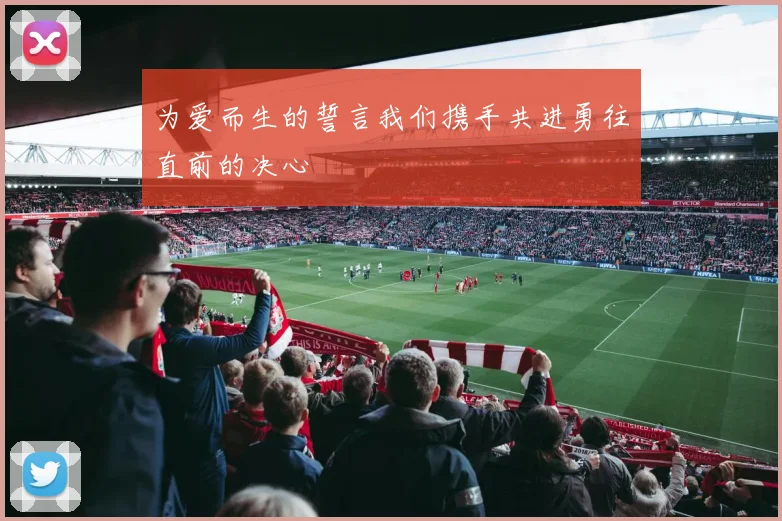为爱而生的誓言我们携手共进勇往直前的决心